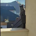 локация! * Bansko